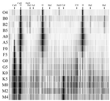 Stellar Spectra